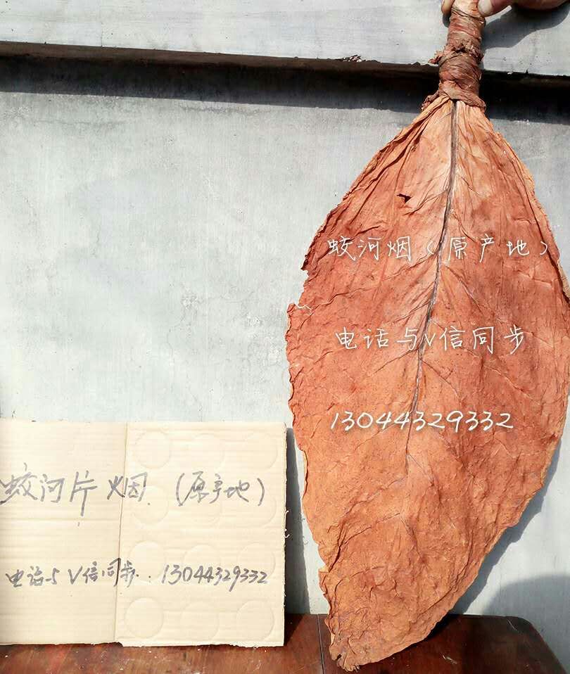 关东烟叶